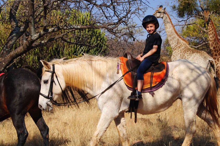 Picture 5 for Activity 2 hour Sunrise Horseback Safari