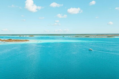 Excursion en bateau dans la lagune des sept couleurs de Bacalar au départ d...