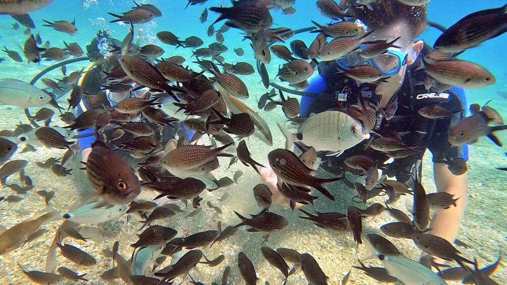Picture 3 for Activity Agia Pelagia: PADI Open Water Diver International Course