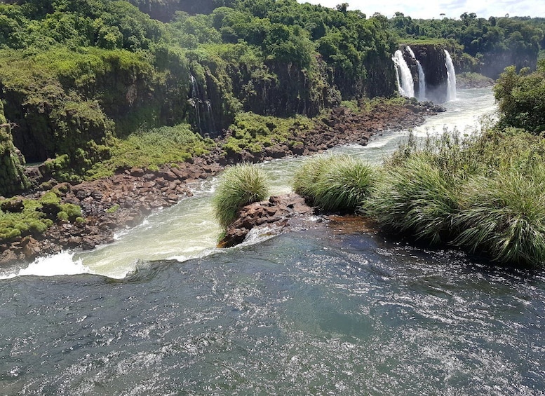 Picture 5 for Activity From Foz do Iguaçu: Visit to Brazilian Falls and Bird Park