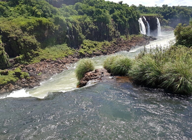 Picture 5 for Activity From Foz do Iguaçu: Visit to Brazilian Falls and Bird Park