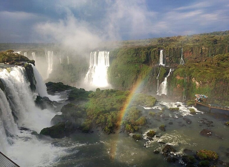 Picture 7 for Activity From Foz do Iguaçu: Visit to Brazilian Falls and Bird Park