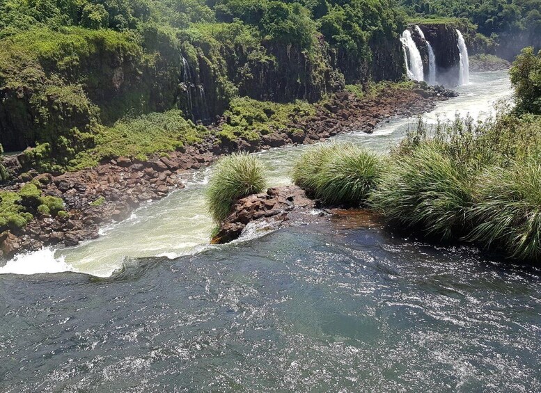 Picture 5 for Activity From Foz do Iguaçu: Visit to Brazilian Falls and Bird Park