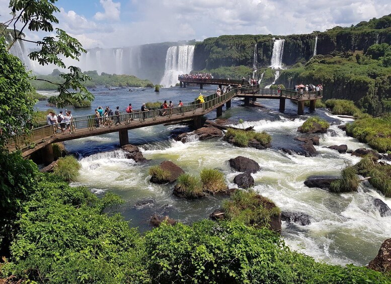 Picture 6 for Activity From Foz do Iguaçu: Visit to Brazilian Falls and Bird Park