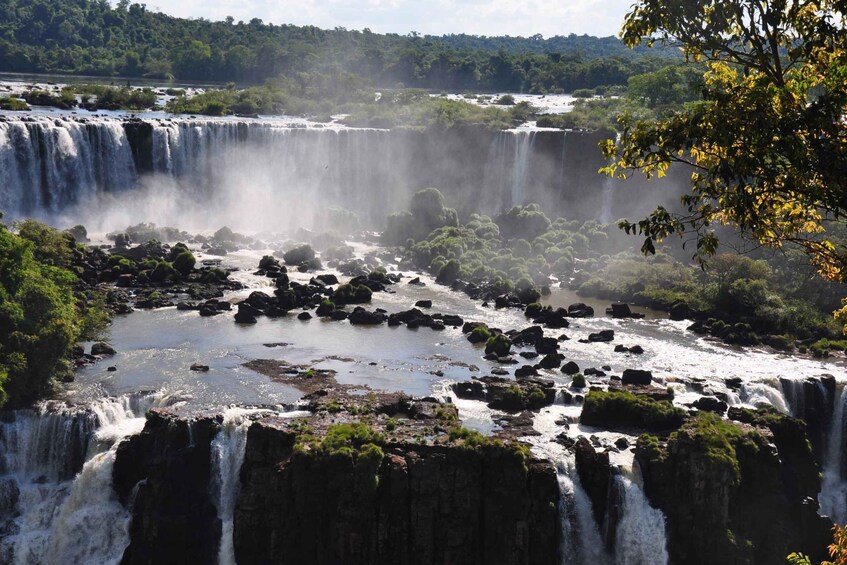 Picture 1 for Activity From Foz do Iguaçu: Visit to Brazilian Falls and Bird Park