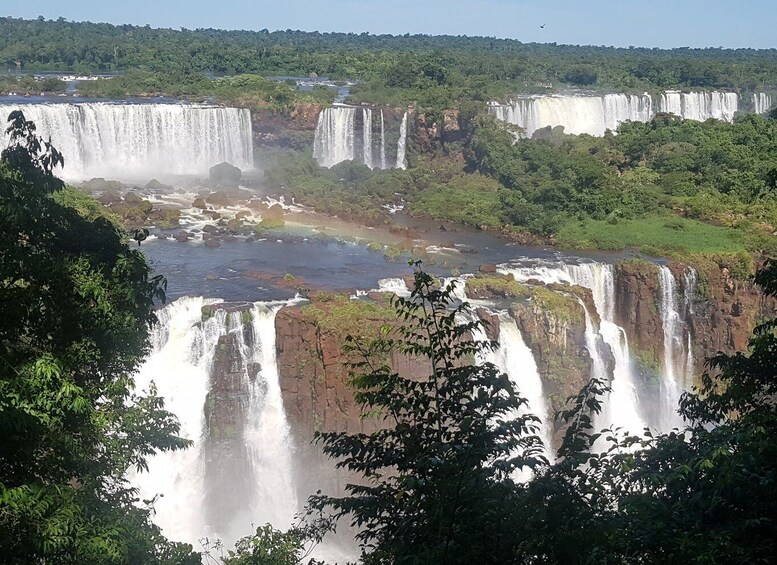 Picture 4 for Activity From Foz do Iguaçu: Visit to Brazilian Falls and Bird Park