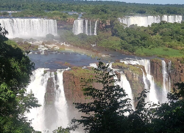 Picture 4 for Activity From Foz do Iguaçu: Visit to Brazilian Falls and Bird Park