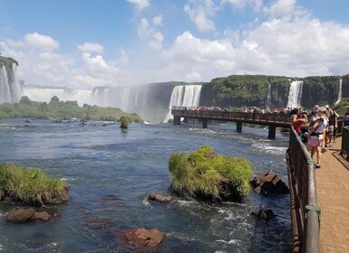 From Foz do Iguaçu: Visit to Brazilian Falls and Bird Park