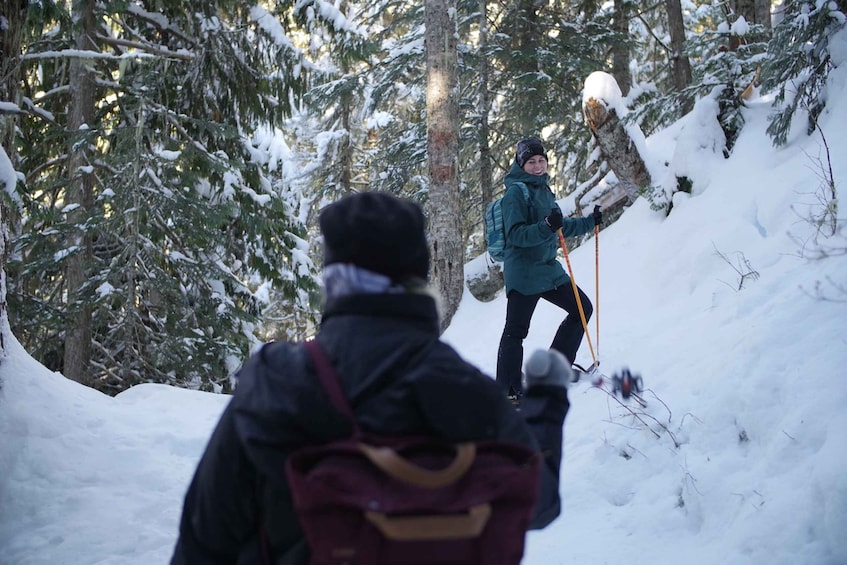 Picture 9 for Activity Whistler: Backcountry Snowshoeing Tour with Guide