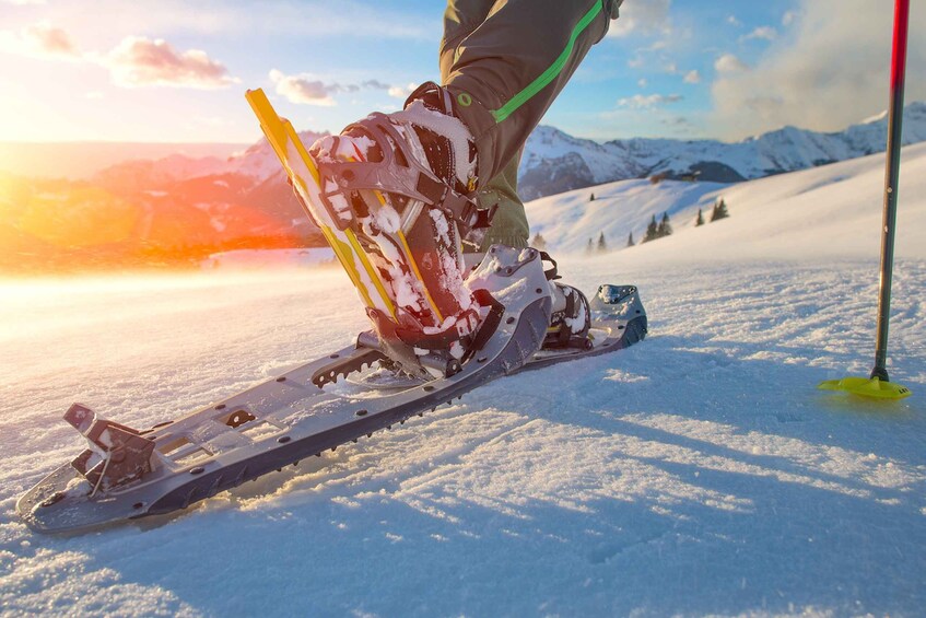 Picture 4 for Activity Whistler: Backcountry Snowshoeing Tour with Guide