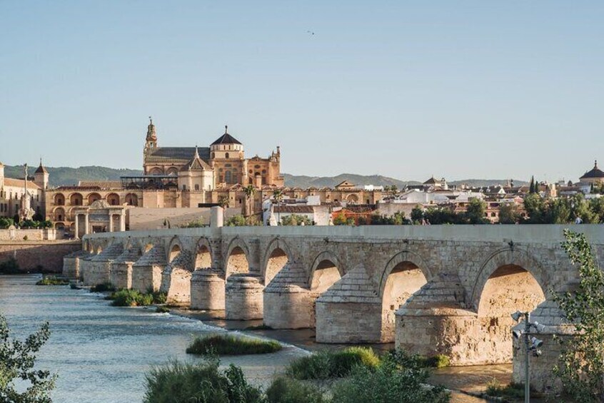 Excursion to Córdoba from Malaga