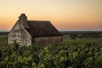 Full-Day Private Wine Tour in Côte de Nuits