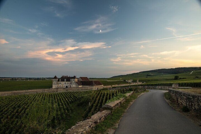 Full-Day Private Wine Tour in Côte de Nuits