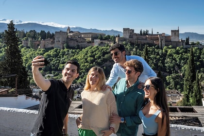 Lo Mejor de Granada desde Málaga en un día con Alhambra Opcional