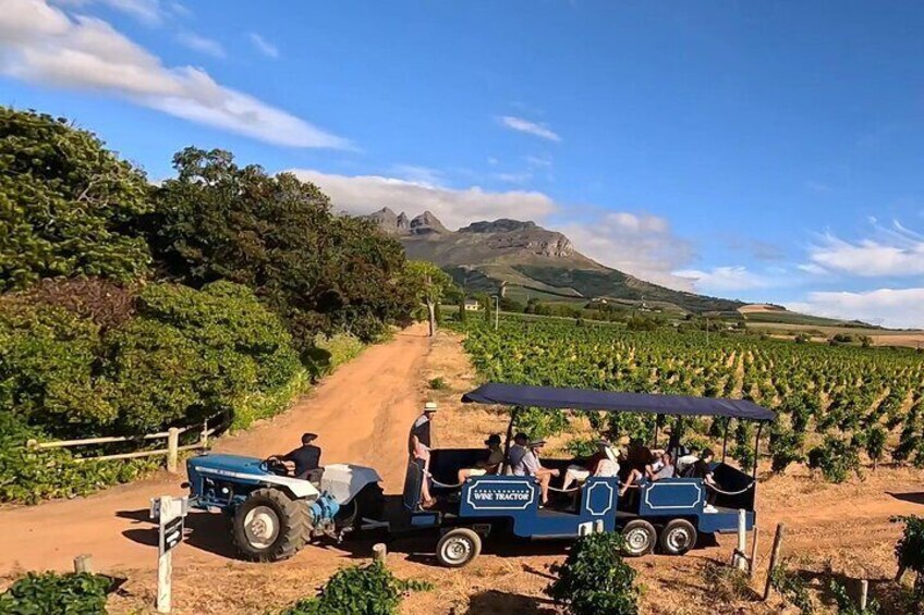 Stellenbosch Wine Tractor Hop On and Hop Off Wine Tasting Tour