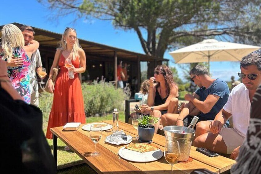 Stellenbosch Wine Tractor Hop On and Hop Off Wine Tasting Tour