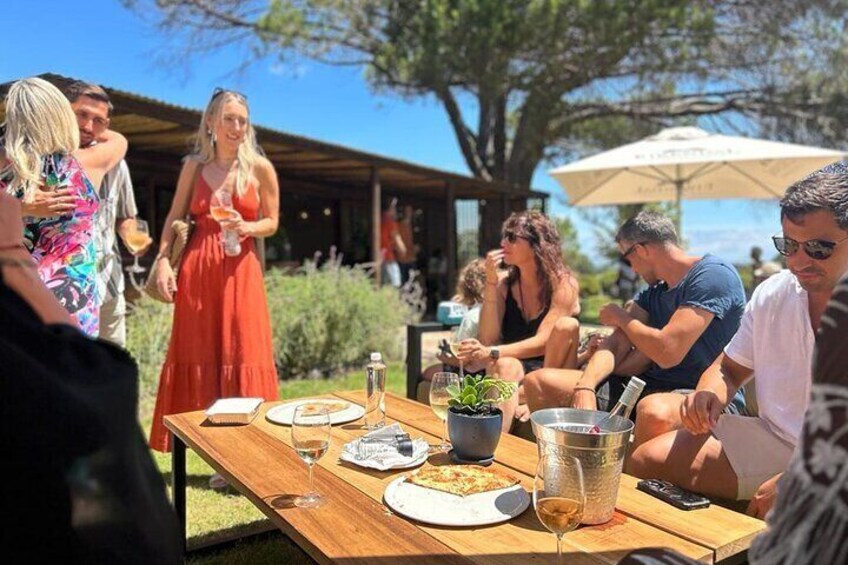 Stellenbosch Wine Tractor Hop On and Hop Off Wine Tasting Tour