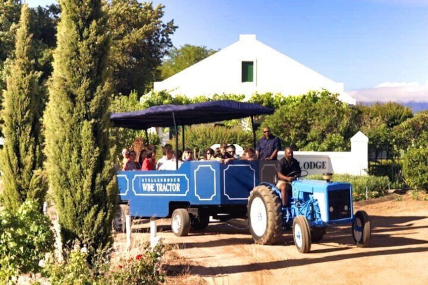 Stellenbosch Wine Tractor Hop On and Hop Off Wine Tasting Tour