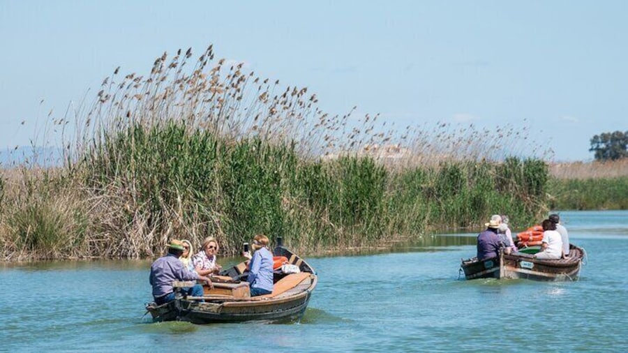 Private Albufera Day Trip: Paella, Boat Ride and Nature Trek