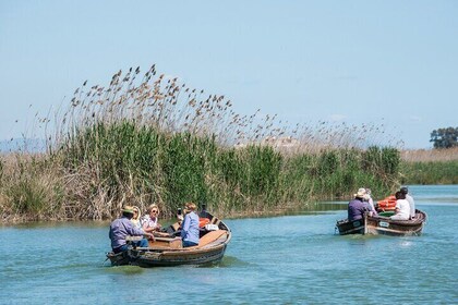 Private Albufera Day Trip: Paella, Boat Ride and Nature Trek