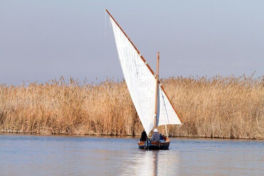 Private Albufera Day Trip: Paella, Boat Ride and Nature Trek