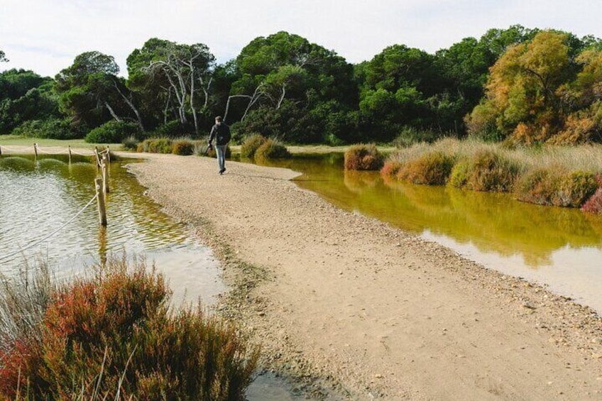 Private Albufera Day Trip: Paella, Boat Ride and Nature Trek