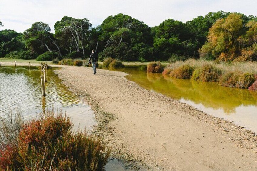 Private Albufera Day Trip: Paella, Boat Ride and Nature Trek