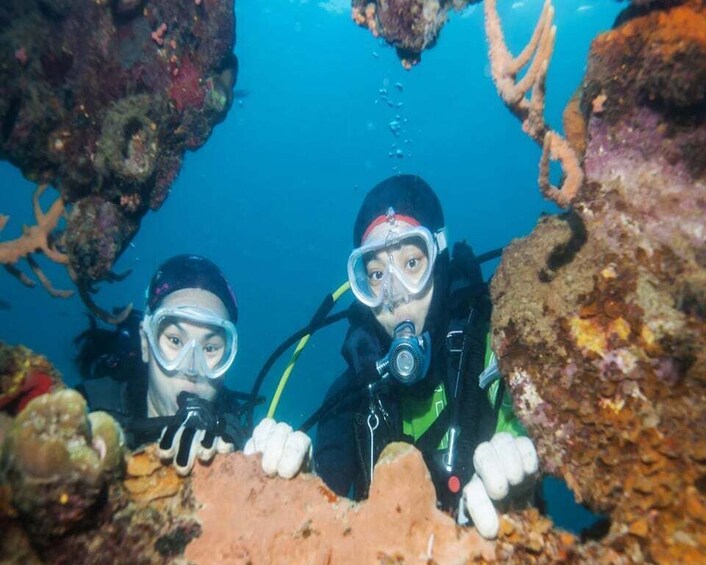 Picture 2 for Activity Fethiye: 2 Guided Scuba Dives with Lunch and Hotel Transfers