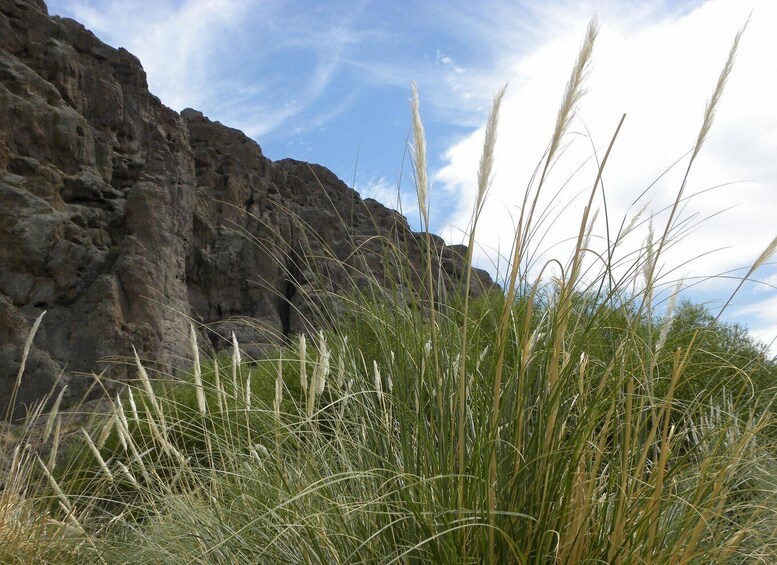 Picture 10 for Activity Puerto Madryn: Florentino Ameghino Dam Tour