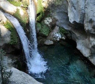 Fra Alanya: Sapadere Canyon Tour med lunsj