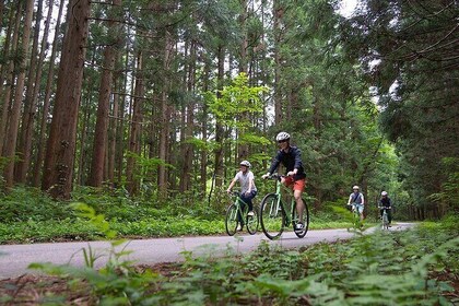 Mount Haguro E-Bike Sightseeing Tour in Yamagata, Japan