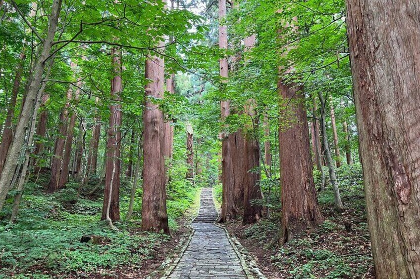 Mount Haguro E-Bike Sightseeing