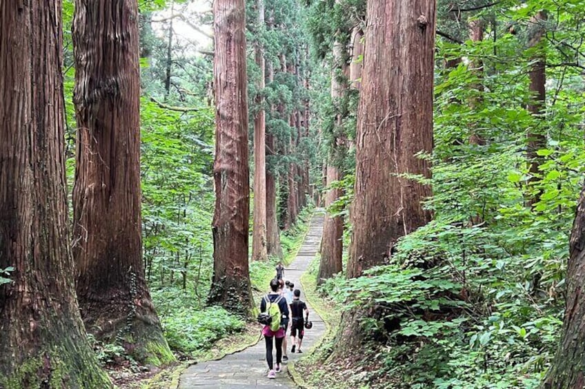 Mount Haguro E-Bike Sightseeing