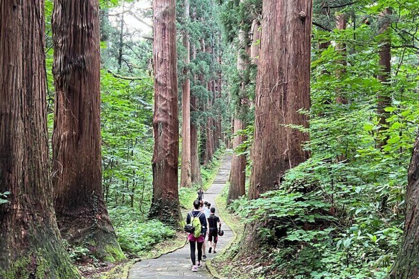 Mount Haguro E-Bike Sightseeing