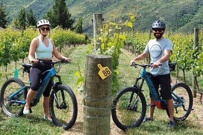 Guided eBike Wine Tour Ride to the Vines