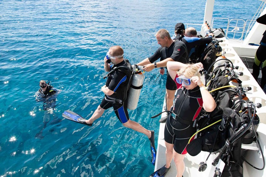 Picture 3 for Activity Didim: Scuba Diving Experience w/Hotel Pickup & Lunch