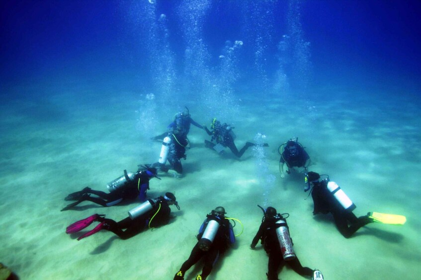 Picture 1 for Activity Didim: Scuba Diving Experience w/Hotel Pickup & Lunch