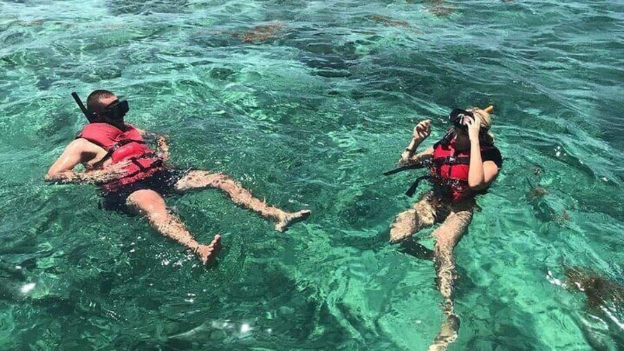 Full-Day Snorkeling Tour to Catalina Island