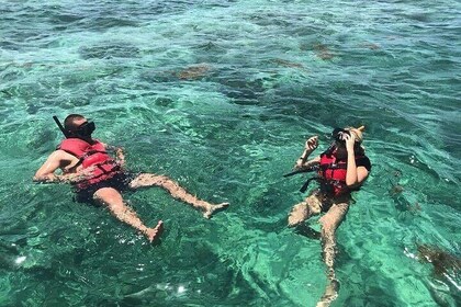 Full-Day Snorkelling Tour to Catalina Island