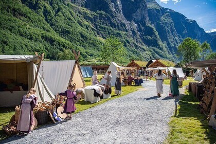 Private Day Tour Nærøyfjord Cruise, Viking Village, Flåm Railway