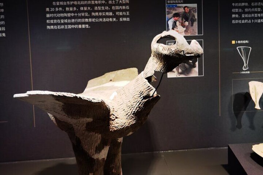 Shaanxi Archaeological Museum English-speaking Guide Service