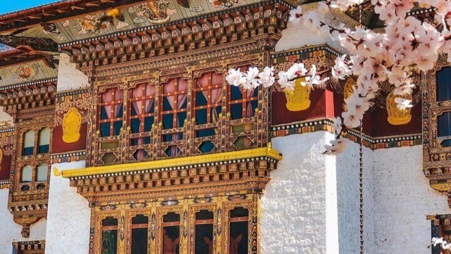 Photo credit: Drukpa Boza Photography