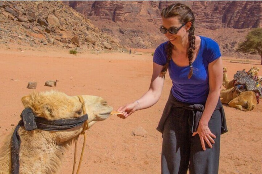 8-Day Private Tour in Jordan