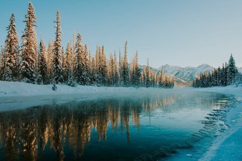 Icefield Parkway, Peyto Lake and Johnston Canyon Adventure Trip