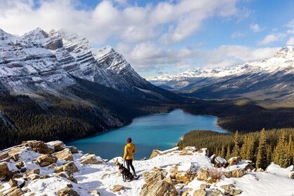 Icefield Parkway, Peyto Lake and Johnston Canyon Adventure Trip