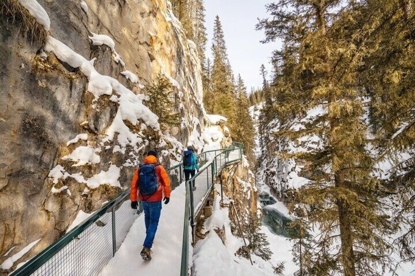 Day Trip to Icefield Parkway, Johnston Canyon from Calgary, Banff