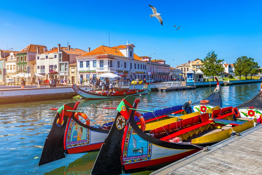 Aveiro Half-Day Guided Tour with Moliceiro Cruise from Porto