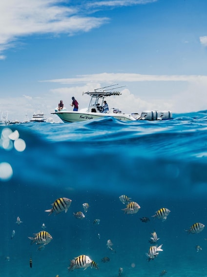 Deep-Sea Fishing Morning Tour on Private Basis