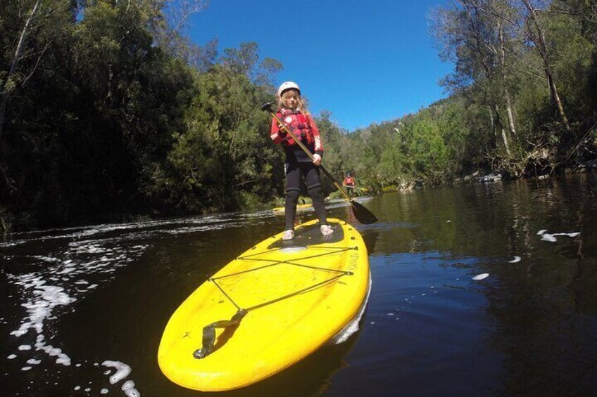 Blackwater Tubing Green Route Forest Adventure