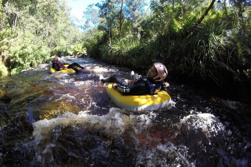 Blackwater Tubing Green Route Forest Adventure